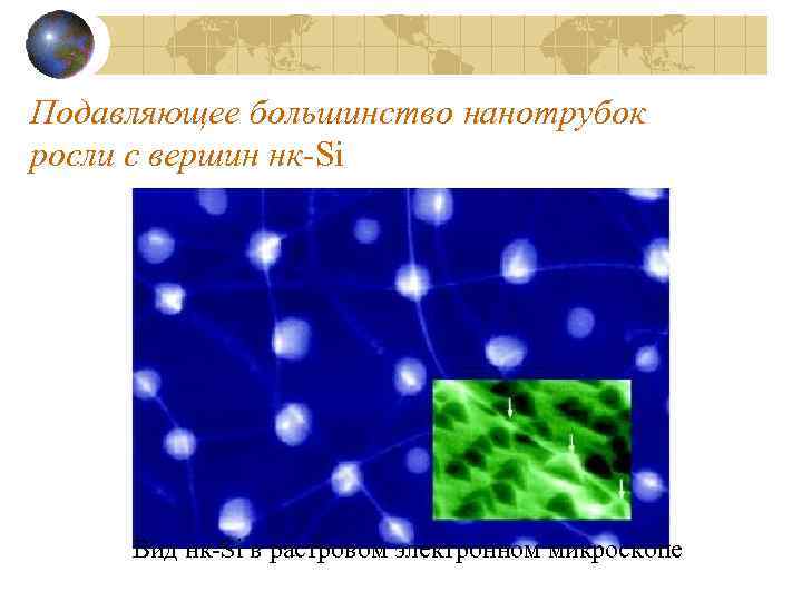 Подавляющее большинство нанотрубок росли с вершин нк-Si Вид нк-Si в растровом электронном микроскопе 