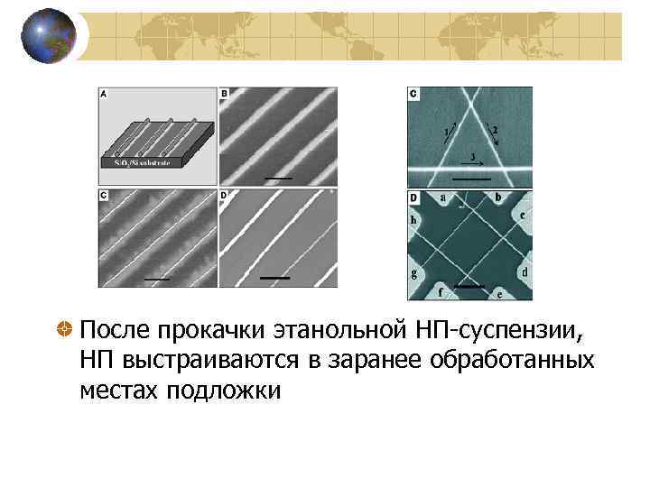 После прокачки этанольной НП-суспензии, НП выстраиваются в заранее обработанных местах подложки 