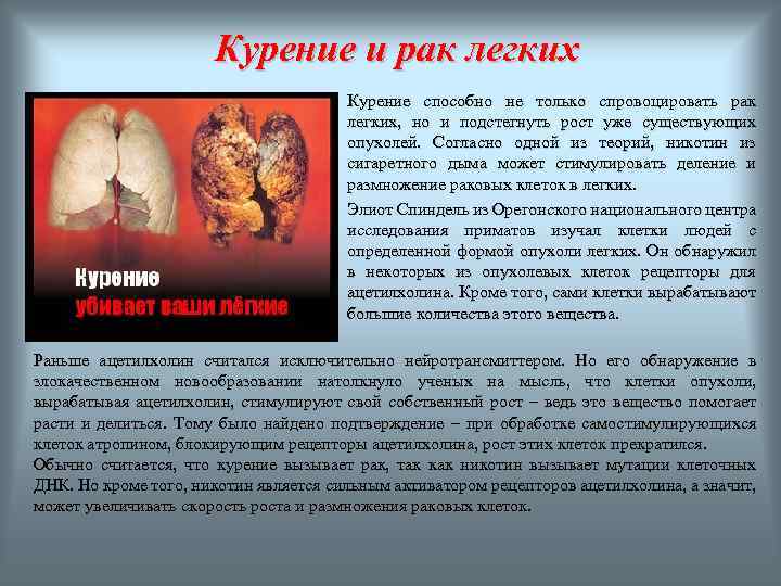 Курение и рак легких Курение способно не только спровоцировать рак легких, но и подстегнуть