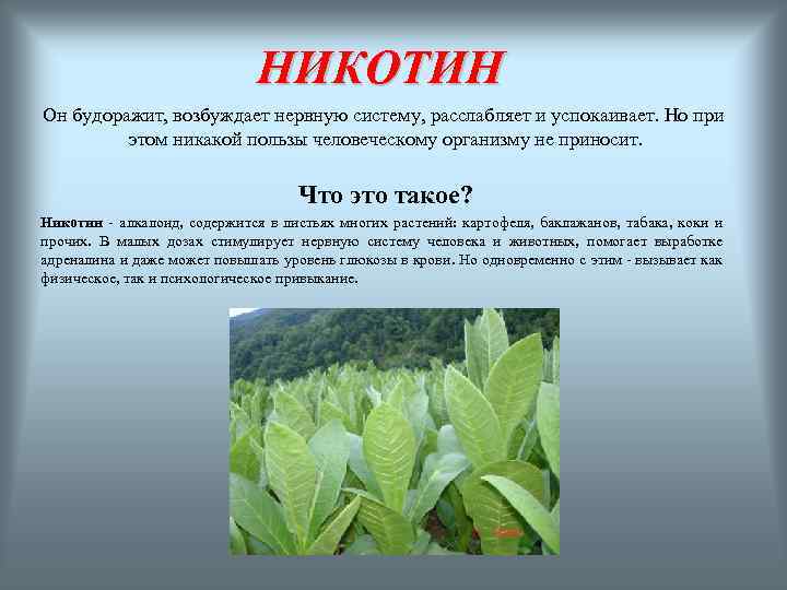 НИКОТИН Он будоражит, возбуждает нервную систему, расслабляет и успокаивает. Но при этом никакой пользы