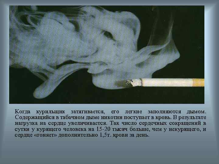 Когда курильщик затягивается, его легкие заполняются дымом. Содержащийся в табачном дыме никотин поступает в