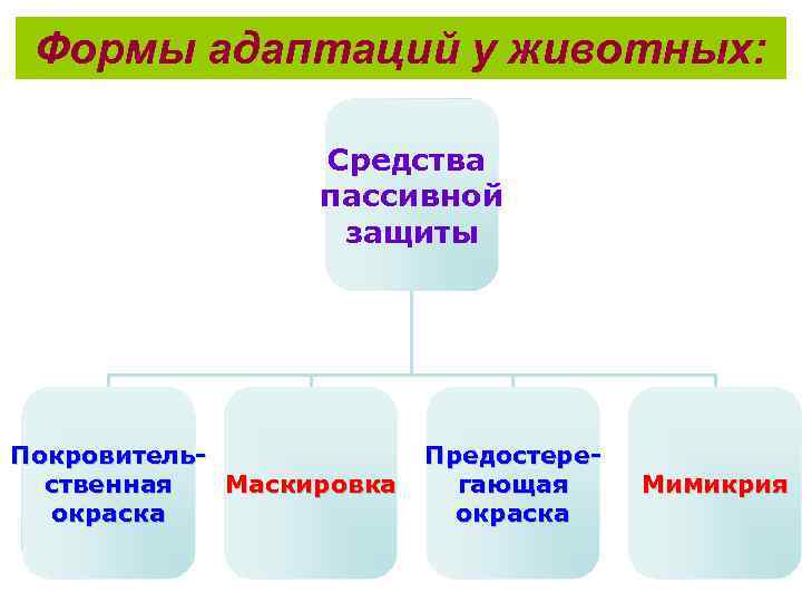 Формы адаптаций у животных: Средства пассивной защиты Покровительственная Маскировка окраска Предостерегающая окраска Мимикрия 