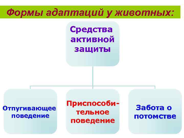 Формы адаптаций у животных: Средства активной защиты Отпугивающее поведение Приспособительное поведение Забота о потомстве