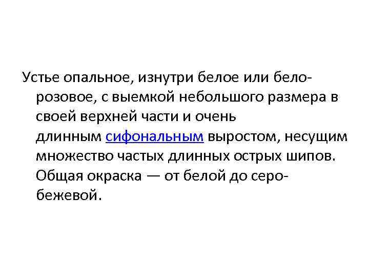 Устье опальное, изнутри белое или белорозовое, с выемкой небольшого размера в своей верхней части