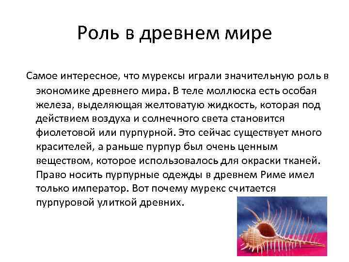 Роль в древнем мире Самое интересное, что мурексы играли значительную роль в экономике древнего