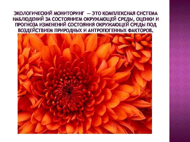 ЭКОЛОГИЧЕСКИЙ МОНИТОРИНГ — ЭТО КОМПЛЕКСНАЯ СИСТЕМА НАБЛЮДЕНИЙ ЗА СОСТОЯНИЕМ ОКРУЖАЮЩЕЙ СРЕДЫ, ОЦЕНКИ И ПРОГНОЗА