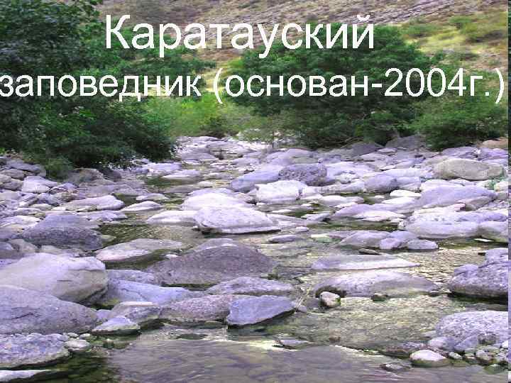 Каратауский заповедник (основан-2004 г. ) 
