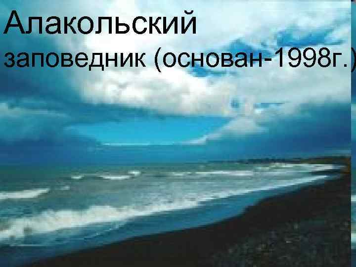 Алакольский заповедник (основан-1998 г. ) 
