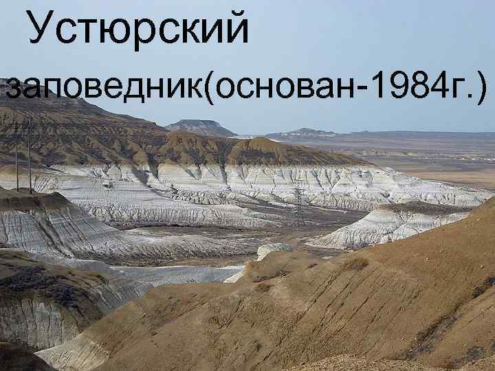 Устюрский заповедник(основан-1984 г. ) 