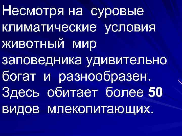 Несмотря на суровые климатические условия животный мир заповедника удивительно богат и разнообразен. Здесь обитает