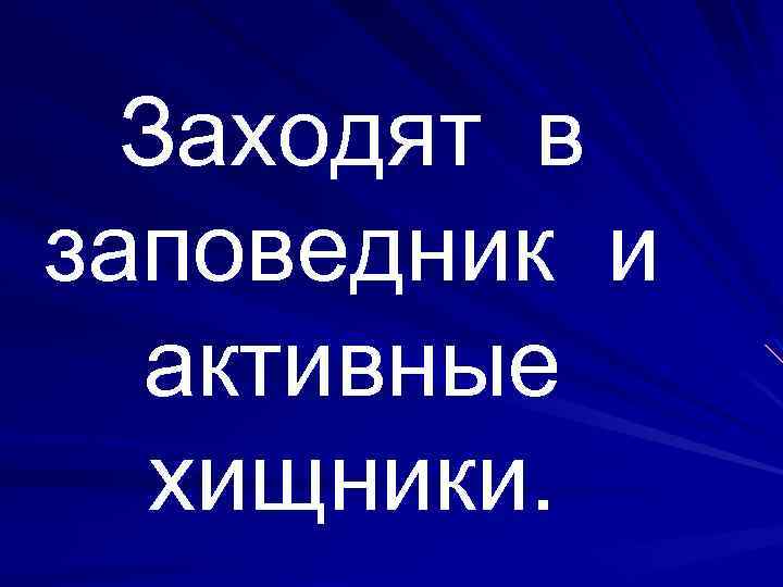 Заходят в заповедник и активные хищники. 