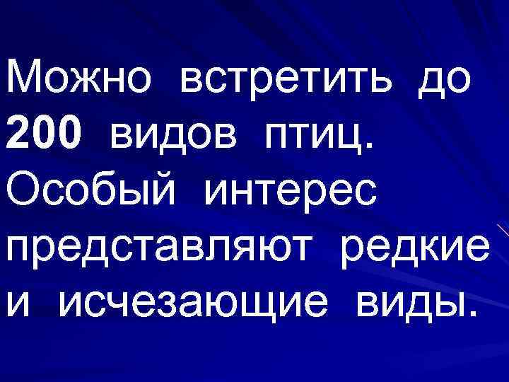 Можно встретить до 200 видов птиц. Особый интерес представляют редкие и исчезающие виды. 