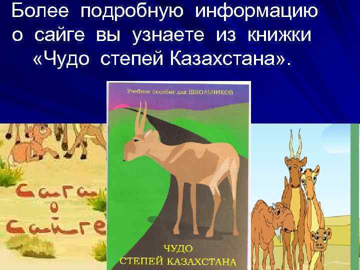 Более подробную информацию о сайге вы узнаете из книжки «Чудо степей Казахстана» . 
