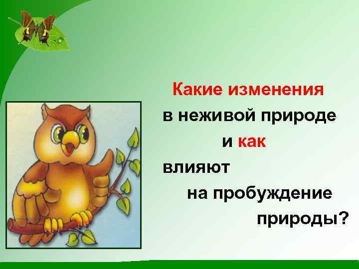 Какие изменения в неживой природе и как влияют на пробуждение природы? 