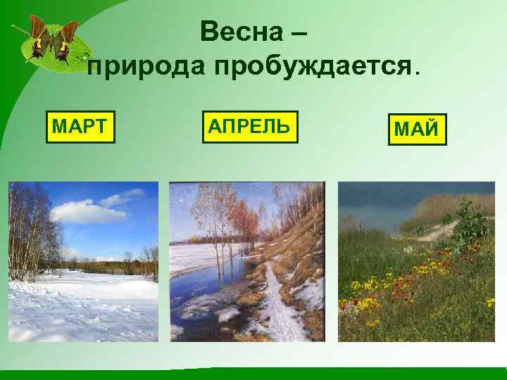 Весна – природа пробуждается. МАРТ АПРЕЛЬ МАЙ 