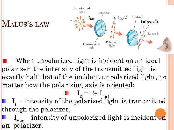 MALUS'S LAW When unpolarized light is incident on an ideal polarizer the intensity of