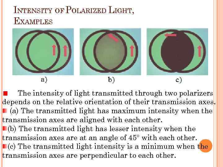 INTENSITY OF POLARIZED LIGHT, EXAMPLES The intensity of light transmitted through two polarizers depends