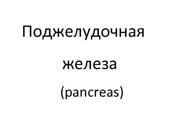 Поджелудочная железа (pancreas) 