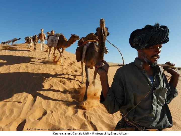 Caravanner and Camels, Mali - Photograph by Brent Stirton, 