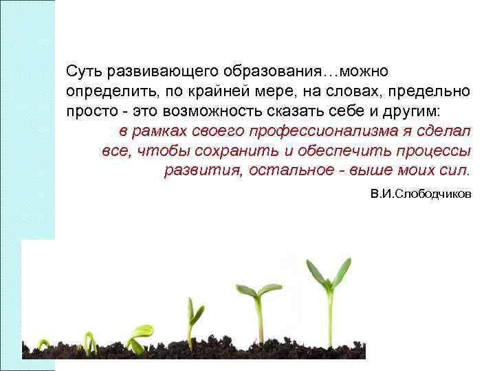 Суть развивающего образования…можно определить, по крайней мере, на словах, предельно просто - это возможность