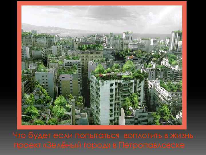 Что будет если попытаться воплотить в жизнь проект «Зелёный город» в Петропавловске 
