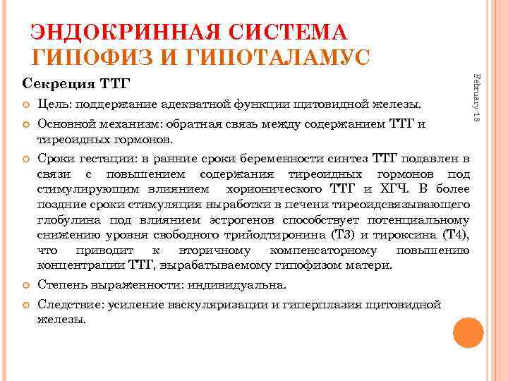 ЭНДОКРИННАЯ СИСТЕМА ГИПОФИЗ И ГИПОТАЛАМУС Цель: поддержание адекватной функции щитовидной железы. Основной механизм: обратная