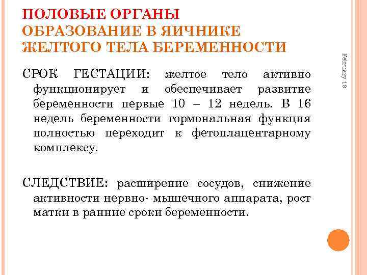 СРОК ГЕСТАЦИИ: желтое тело активно функционирует и обеспечивает развитие беременности первые 10 – 12