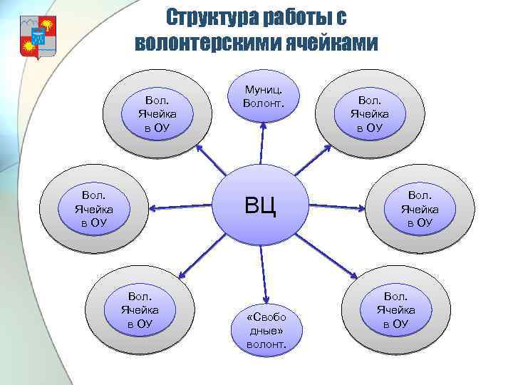 Структура работы с волонтерскими ячейками Вол. Ячейка в ОУ Муниц. Волонт. ВЦ Вол. Ячейка