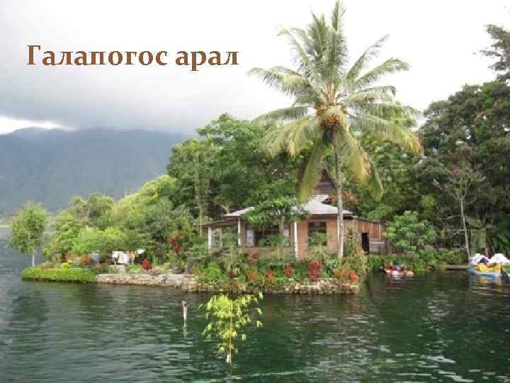 Галапогос арал 