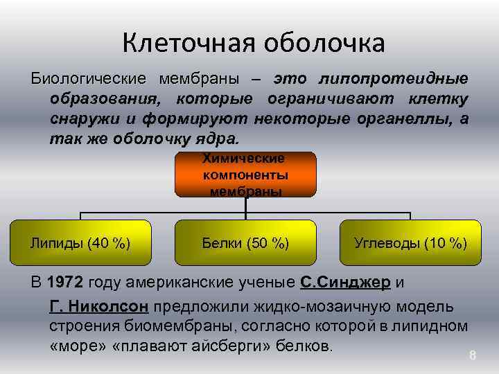 Клеточная оболочка Биологические мембраны – это липопротеидные образования, которые ограничивают клетку снаружи и формируют