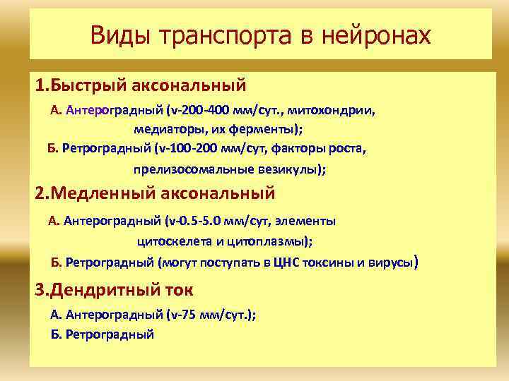 Виды транспорта в нейронах 1. Быстрый аксональный А. Антероградный (v-200 -400 мм/сут. , митохондрии,