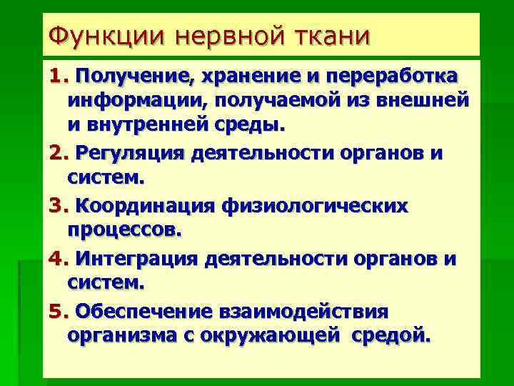 Функции нервной ткани 1. Получение, хранение и переработка информации, получаемой из внешней и внутренней