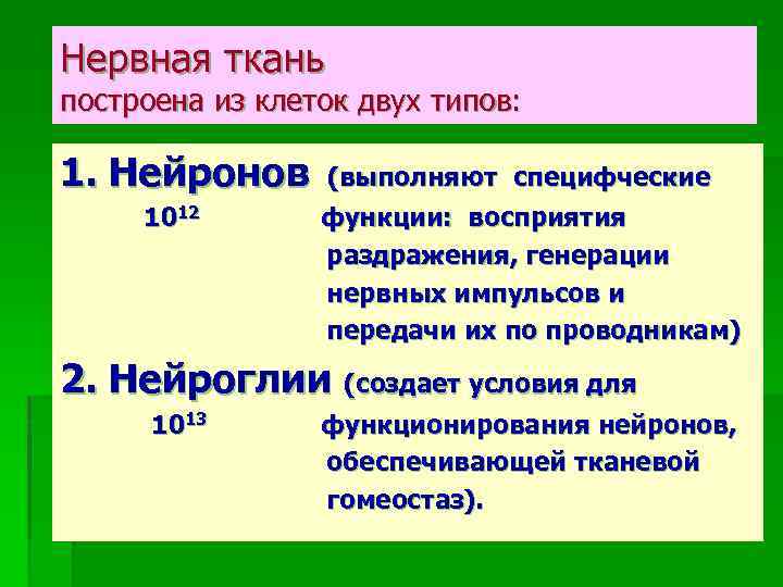 Нервная ткань построена из клеток двух типов: 1. Нейронов 1012 (выполняют специфческие функции: восприятия