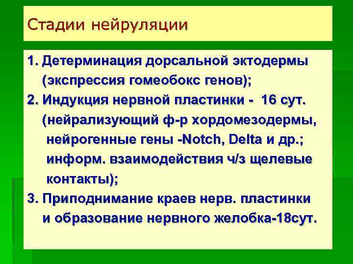 Стадии нейруляции 1. Детерминация дорсальной эктодермы (экспрессия гомеобокс генов); 2. Индукция нервной пластинки -