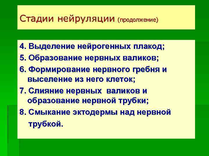 Стадии нейруляции (продолжение) 4. Выделение нейрогенных плакод; 5. Образование нервных валиков; 6. Формирование нервного