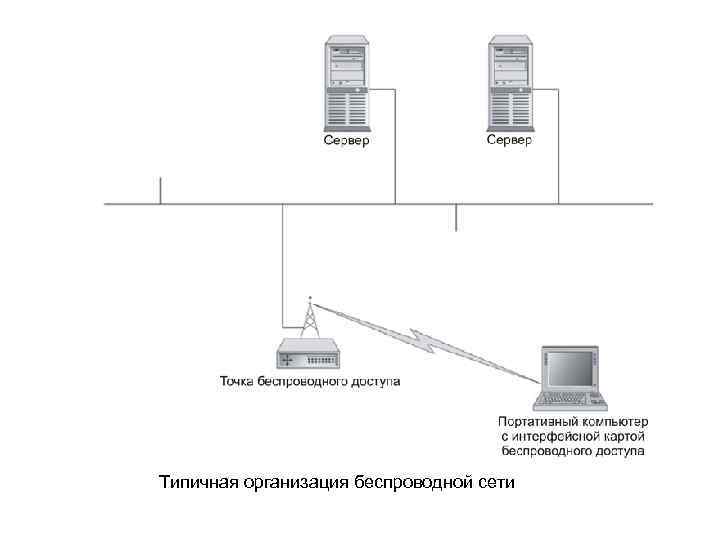 Типичная организация беспроводной сети 