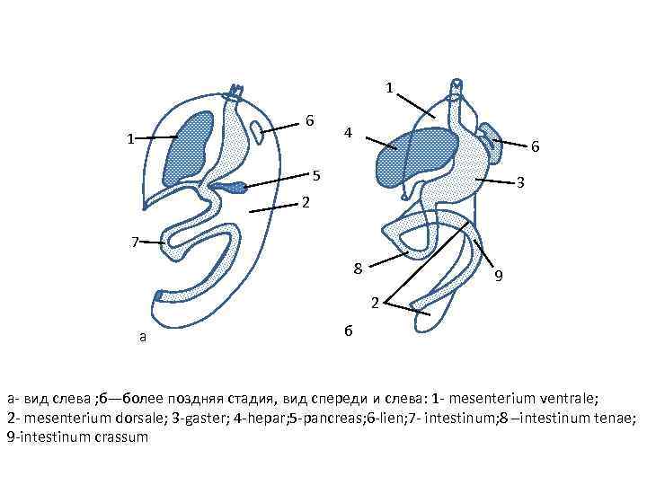 1 6 1 4 6 5 3 2 7 8 9 2 а б