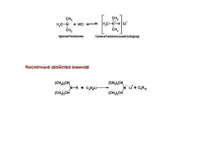 Кислотные свойства аминов 