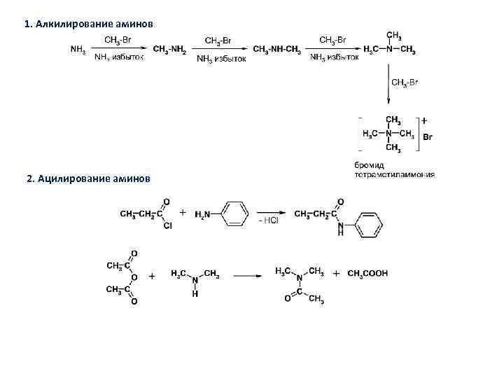 Метиламин пропан хлорметан водород. Амины реакции алкилирования и ацилирования. Реакции ацилирования и алкилирования Аминов. Механизм реакции ацилирования Аминов. Ацилирование Аминов механизм.