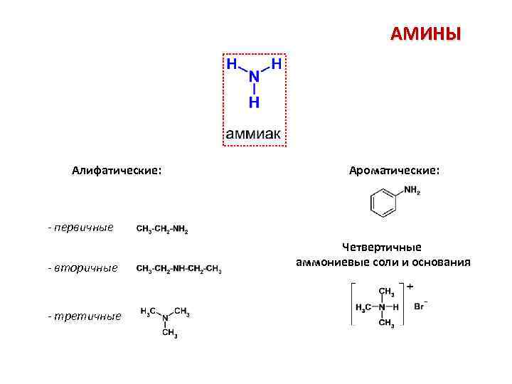 АМИНЫ Алифатические: Ароматические: - первичные - вторичные - третичные Четвертичные аммониевые соли и основания