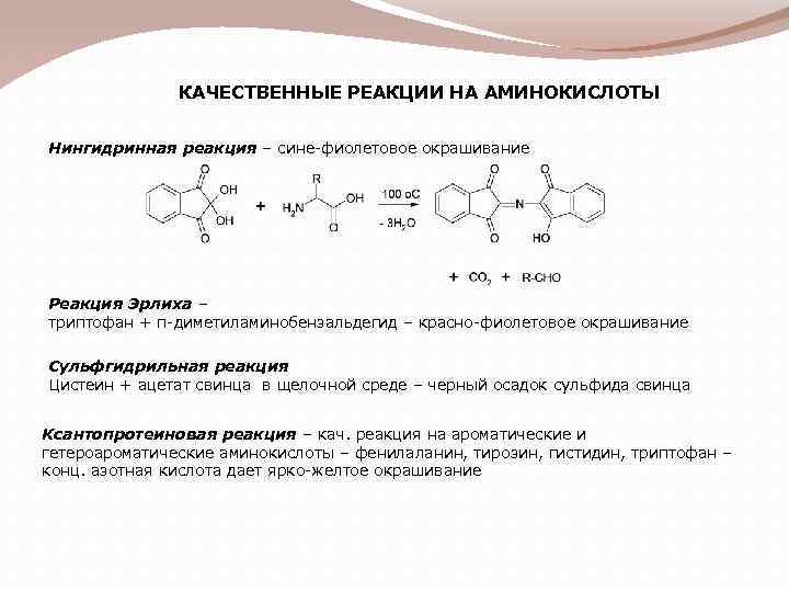 КАЧЕСТВЕННЫЕ РЕАКЦИИ НА АМИНОКИСЛОТЫ Нингидринная реакция – сине-фиолетовое окрашивание Реакция Эрлиха – триптофан +