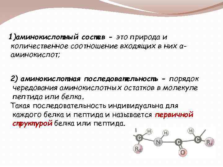 1)аминокислотный состав - это природа и количественное соотношение входящих в них αаминокислот; 2) аминокислотная