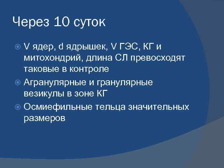 Через 10 суток V ядер, d ядрышек, V ГЭС, КГ и митохондрий, длина СЛ