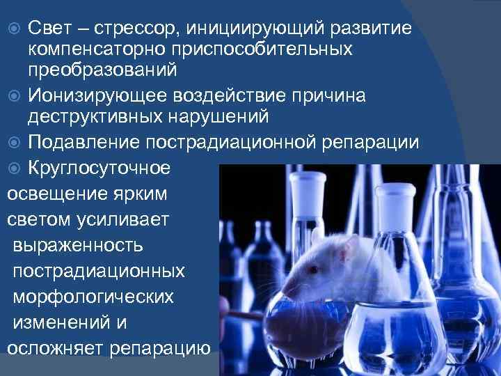 Свет – стрессор, инициирующий развитие компенсаторно приспособительных преобразований Ионизирующее воздействие причина деструктивных нарушений Подавление