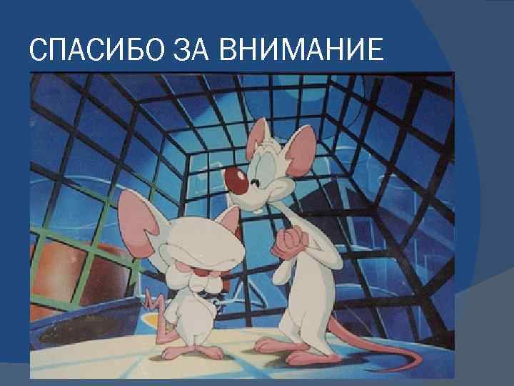 СПАСИБО ЗА ВНИМАНИЕ 