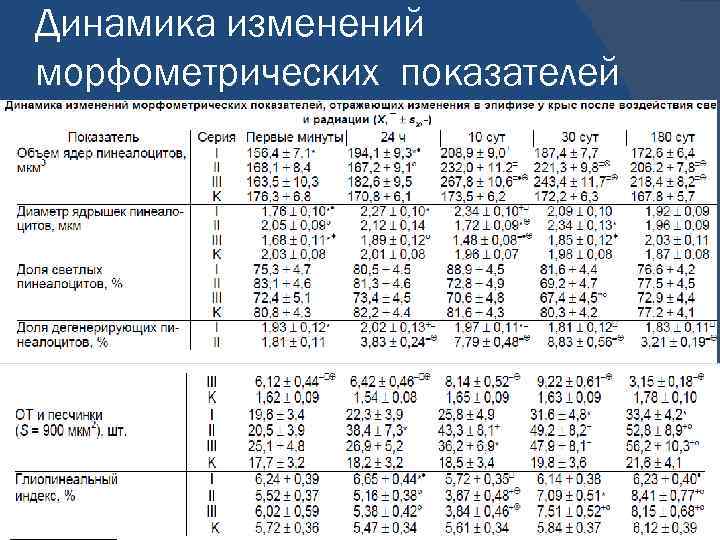 Динамика изменений морфометрических показателей 