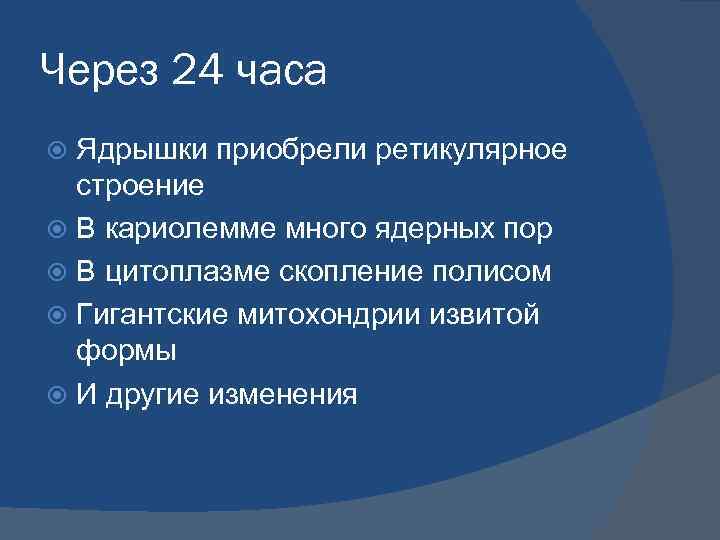 Через 24 часа Ядрышки приобрели ретикулярное строение В кариолемме много ядерных пор В цитоплазме