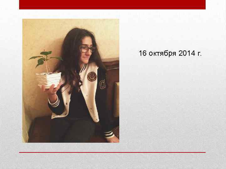 16 октября 2014 г. 