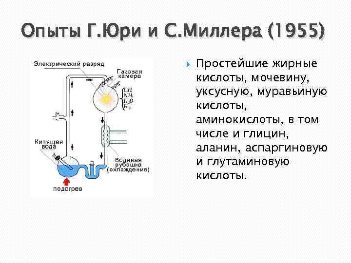 Опыты Г. Юри и С. Миллера (1955) Простейшие жирные кислоты, мочевину, уксусную, муравьиную кислоты,