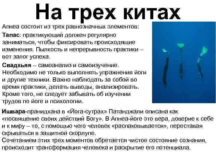 На трех китах Апнеа состоит из трех равнозначных элементов: Тапас: практикующий должен регулярно заниматься,